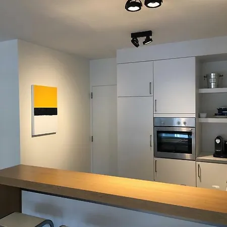Modern Place In City Center. 헨트
